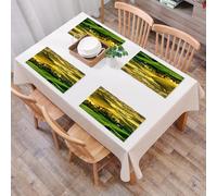 EYLOZS Tovagliette Lavabili,Set di 4 Tovagliette Colazione in PVC,Antiscivolo,Resistenti al Calore,per Tavolo da Cucina,Tranquillo paesaggio toscano di Pienza Toscana Vigneti Alberi Prato Ant,45x30cm