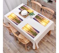 EYLOZS Tovagliette Lavabili,Set di 4 Tovagliette Colazione in PVC,Antiscivolo,Resistenti al Calore,per Tavolo da Cucina,Appartamento, Horse Valley nel sud con il riflesso del lago e il sole c,45x30cm