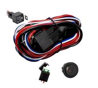 Eyourlife 300W Cablaggio Fendinebbia con Interruttore 12V 40A, Kit Cavi Fendinebbia Cablaggio Auto On-Off Interruttore, per Fuoristrada Camion SUV Moto (Adatto per Luce Max. 300W) (300W-2.5M)