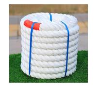 EYRMQWJPC Cima da ormeggio in Nylon Marino, Il Bacino in Nylon for Barche allinea 1 Pollice 9921 libbre di Resistenza alla Rottura Lunghezze Multiple da 5 m a 100 m(15m/49.2')