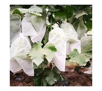 EYRMQWJPC Sacchetti per la Protezione della Frutta, Sacchetti for la Protezione della Frutta, Confezione da 100, Diverse Misure, in Tessuto Non Tessuto(240x360mm 100pcs)