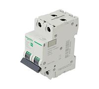 EZ9F57250 Schneider Easy9 Pro Magnetotermico C 50A 2P