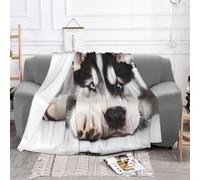 EZDLOWVBA Coperta in pile con stampa di cane Husky, per divano e letto, accogliente, morbida, leggera, calda, per tutte le stagioni