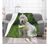 EZDLOWVBA Coperta in pile con stampa di cani Bichon Frise, per divano e letto, accogliente, morbida, leggera, calda, per tutte le stagioni