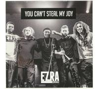 Ezra Collective You Can't Steal My Joy (Vinyl LP) 12" Album