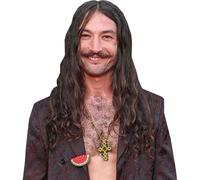 Ezra Miller (Necklace) Half Body Buddy Cutout