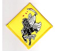 F-14 Tomcat Sqn da Stiro Toppa : VF-142 Ghostriders (Disestablished Aprile,1995)