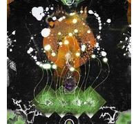 F Ampism - The Vertical Luminous