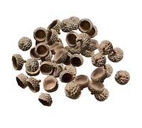 F Fityle 100x Ghiande Sfuse Cappellini per Artigianato Casa Matrimonio Composizione Ringraziamento Natale Autunno, Cappucci di Ghiande Naturali