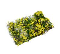 F Fityle Gruppo di Fiori a grappolo, ciuffo d'erba, arbusti di Pianura Artificiali, Gruppo di vegetazione a ciuffo per diorami di paesaggi ferroviari su, Giallo