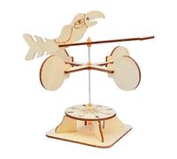 F Fityle Kit Fai da Te per banderuola Indicatore della direzione del Insegnamento della Fisica Innovazione creatività Ausili didattici Assemblaggio Fai