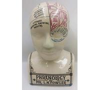 F&G Supplies, Meravigliosa testa in ceramica con stampa tatuaggio e scritta "Phrenology", una divertente interpretazione moderna dell'arte vittoriana della frenologia, alta 30 cm