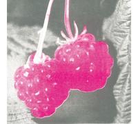 F.S. Blumm Welcome (CD) Album
