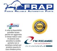 F1466 FRAP TESTA STERZO DX/SX FIAT: PUNTO 1993>LA. Y 1995>200