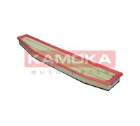 F218701 KAMOKA Filtro aria per BMW