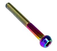 F26 Vite a testa sferica in titanio M5 (Rainbow Neochrom, 45 mm)