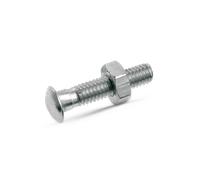 FA1 11-70007.10 Bullone / Vite