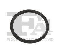 FA1 410-517 Guarnizione, Compressore per BMW