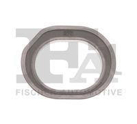 FA1 410-529 Anello tenuta, Compressore