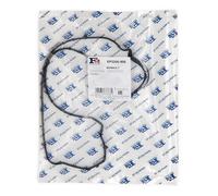 FA1 EP2200-905 Guarnizione Copritestata per RENAULT CLIO II (BB0/1/2, CB0/1/2)