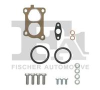 FA1 KT100250 Kit montaggio turbocompressore per BMW 5 Limousine (E60)
