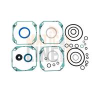 FAAC KIT GUARNIZIONI COMPLETE MOTORI OLEODINAMICI SERIE S450H 24V 63000606