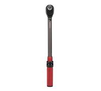 Fabater 5-60 Nm CHICK CHICE SET, STRUMENTI 3/8 per la Manutenzione di Bici Elettriche e Motociclistiche, Compilation Ad Alta Resistenza