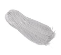 Fabater Parrucca Lunga Grigia Donna Parrucca Diritta per Cosplay Sintetica per Capelli dall'aspetto Naturale per la Festa di Halloween Costume Cosplay 76 Cm