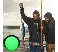 Fabater Perline da Pesca Luminose, 1000 Pezzi Sfusi, Perline di Plastica Rotonde da 4 Mm con Foro per Lenza, Attrezzatura Galleggiante Esche Accessori per Pesca Notturna in Acque Profonde Scatola per