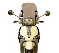 FABBRI PARAVENTO CUPOLINO PIAGGIO LIBERTY-GET 125 ABS 2017 FUME
