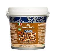 FABBRI PASTA DI NOCCIOLA 3.5KG