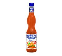 Fabbri Sciroppo Arancia e Curcuma 560ml, 560 millilitro, 1