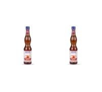 Fabbri Sciroppo Gourmet Caramello 560 ml (Confezione da 2)