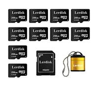 Fabbrica all'ingrosso Micro SD Card 256MB (0.25GB) Confezione da 10 in Bulk Bassa Capacità per MP3/Vecchi Telefoni/Piccoli File Solo -Non per Fotocamere/Dashcam/Dispositivi GB
