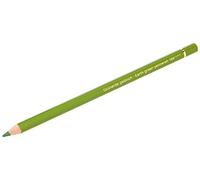 Faber-Castell Polychromos Artists, 110168 - Matita, 1, Verde (Earth Green Yellowish)