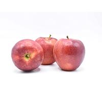 Fabio Frutta, 4 kg mele Cosmic,incrocio tra le varietà Enterprice e Honeycrisp, dalla sorprendente succosità e decisa croccantezza.