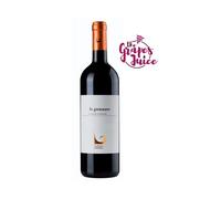 FABIO MOTTA LE GONNARE 2021 VINO ROSSO BIO BOLGHERI SUPERIORE DOC TOSCANA