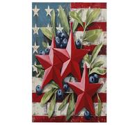 Fabpuro Strofinacci da cucina 45 x 72 cm, morbidi e assorbenti, in microfibra, ad asciugatura rapida, per bagno, decorazione per la casa, 4 luglio, stelle rosse, strisce, bacche, confezione da 2