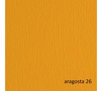 FABRIANO - 42450726 - Cartoncino Elle Erre - 50x70cm - 220gr - aragosta 26 - Fabriano - blister 20 fogli - 67615 - Conf. da 1 Pz. - 42450726