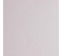 FABRIANO - 46303220 - Cartoncino FAcolore - 70 x 100 cm - 200gr - bianco - liscio - Fabriano - blister 10 fogli - 40224 - Conf. da 1 Pz. - 46303220