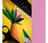 FABRIANO - 46435123 - Cartoncino CartaCrea - 35x50cm - 220gr - fucsia - Fabriano - blister 10 fogli - 59688 - Conf. da 1 Pz. - 46435123