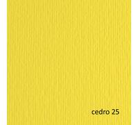 FABRIANO - 46470125 - Cartoncino Elle Erre - 70 x 100 cm - 220 gr - cedro 125 - Fabriano - blister 10 fogli - 61132 - Conf. da 1 Pz. - 46470125