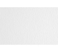 Cartoncino Elle Erre - 50x70cm - 220gr - verdone 28 - Fabriano - blister 20 fogli