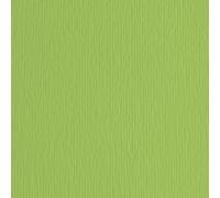 Cartoncino Elle Erre - 50x70cm - 220gr - verde pisello 110 - Fabriano - blister 20 fogli