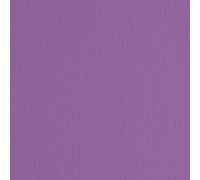 Cartoncino Elle Erre - 50x70cm - 220gr - viola 104 - Fabriano - blister 20 fogli