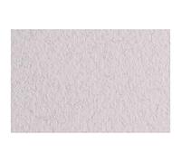 Fabriano Tiziano - Confezione da 50 fogli 21 x 29,7 cm, 160 g, colore: Beige Rosato 27