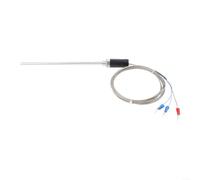 FABULETTA Robusta sonda a termocoppia PT100K con lunghezza di 200 mm per misurazioni accurate in varie attrezzature (tipo PT00 Wire 2M)