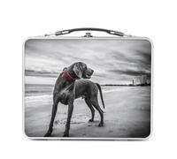 Fabulous Lunch Box in metallo argentato per sandwich e snack - Braque De Weimar Grande Cane Grigio Spiaggia Foto Carino - Scatola da gustare in alluminio ciotola rigida in stile retrò stampato in