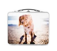 Fabulous Lunch Box in metallo argentato per sandwich e snack - Cavalier King Charles A La Plage Petit Chien Marrone Carignon - Scatola da gustare in alluminio, ciotola rigida, stile retrò, stampata in