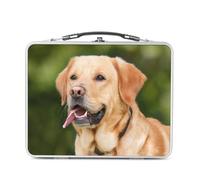 Fabulous Lunch Box in metallo argentato per sandwich e snack - Golden Retreiver - Portrait Big Dog Beige Carino Animali - Scatola da gustare in alluminio ciotola rigida stile retrò stampata in Francia